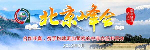 2018年中非合作論壇北京峰會(huì )