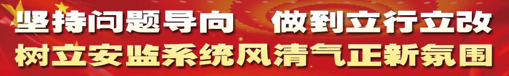 堅持問(wèn)題導向 做到立行立改 樹(shù)立安監系統風(fēng)清氣正新氛圍