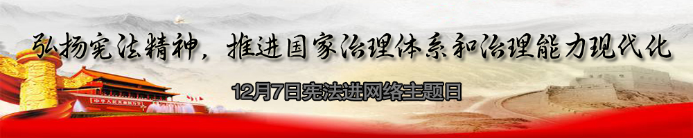 憲法進(jìn)網(wǎng)絡(luò )主題日