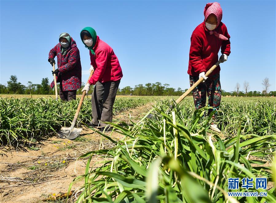 （新華全媒頭條·圖文互動(dòng)）（17）從人民中汲取磅礴力量——習近平總書(shū)記同出席2020年全國兩會(huì )人大代表、政協(xié)委員共商國是紀實(shí)