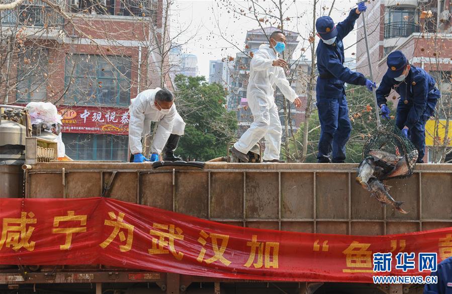 （新華全媒頭條·圖文互動(dòng)）（12）從人民中汲取磅礴力量——習近平總書(shū)記同出席2020年全國兩會(huì )人大代表、政協(xié)委員共商國是紀實(shí)