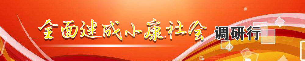 全面建成小康社會(huì )調研行