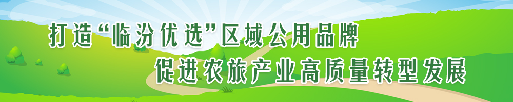 打造“臨汾優(yōu)選”區域公用品牌 促進(jìn)農旅產(chǎn)業(yè)高質(zhì)量轉型發(fā)展