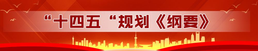 “十四五”規劃《綱要》