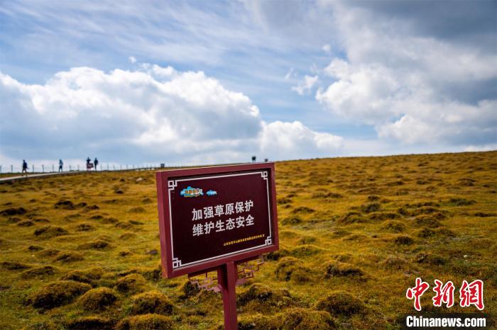馬侖草原的修復治理以保護和自然修復為主?！●R夢(mèng)迪 攝