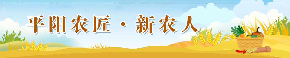 平陽(yáng)農匠·新農人 