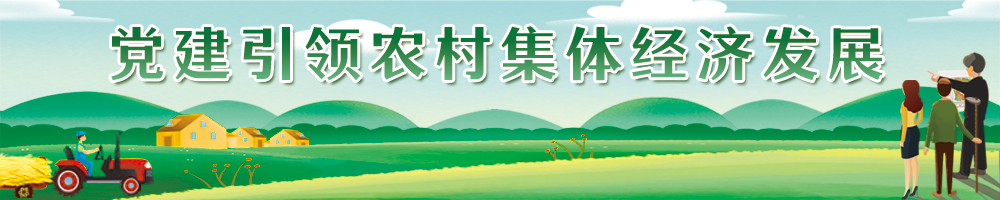 黨建引領(lǐng)農村集體經(jīng)濟發(fā)展