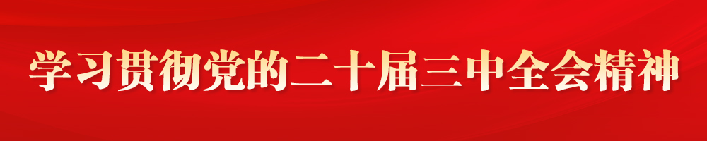 學(xué)習貫徹黨的二十屆三中全會(huì )精神