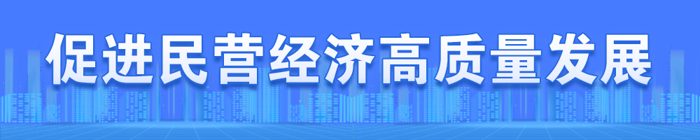 促進(jìn)民營(yíng)經(jīng)濟高質(zhì)量發(fā)展