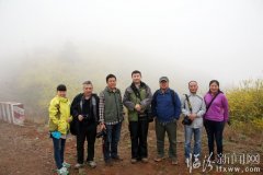 堯都區攝影人關(guān)注安澤的連翹花